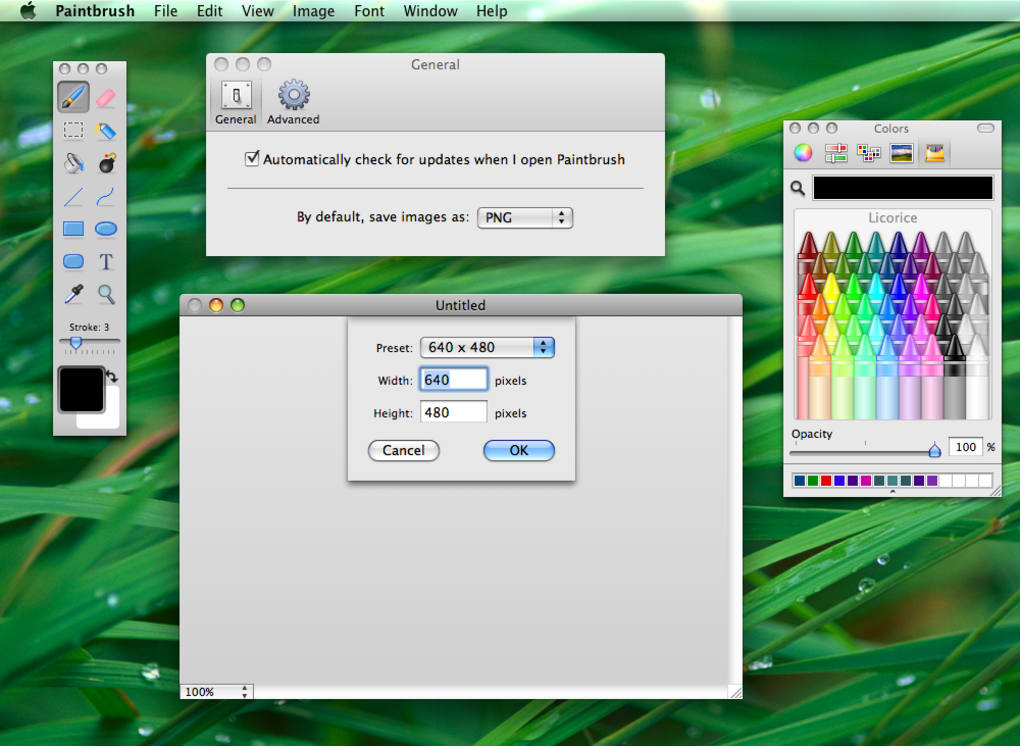 Best digital paint software for mac